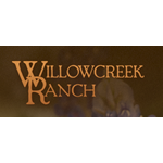 Willowcreek-ranch - Stone Gate Roofing, Houston TX